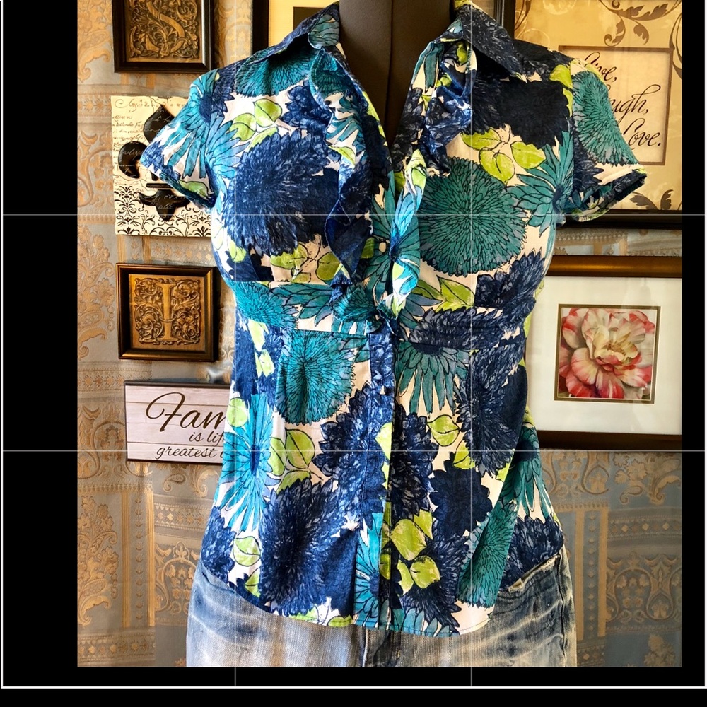 Ann Taylor sh. sleeve cotton blues floral top PS.